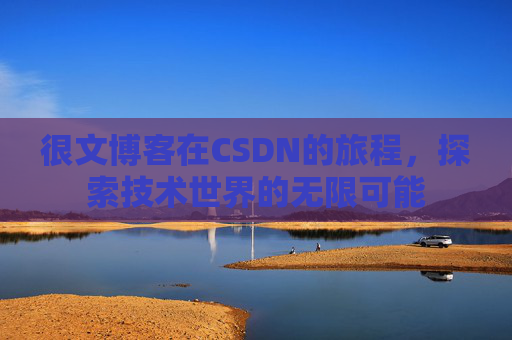 很文博客在CSDN的旅程，探索技术世界的无限可能